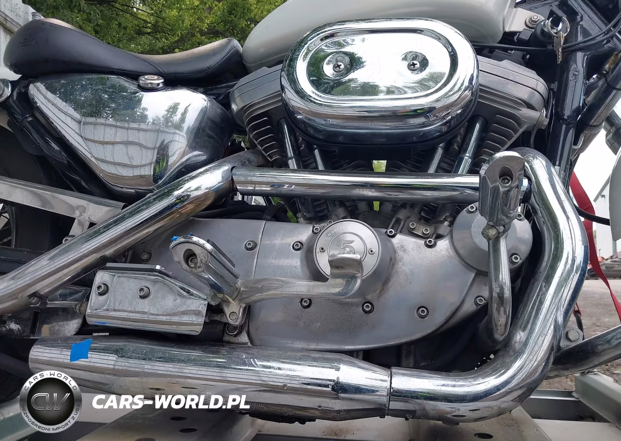 2000 Harley-Davidson Xl883 VIN:1HD4CAM1XYK136572 - 14