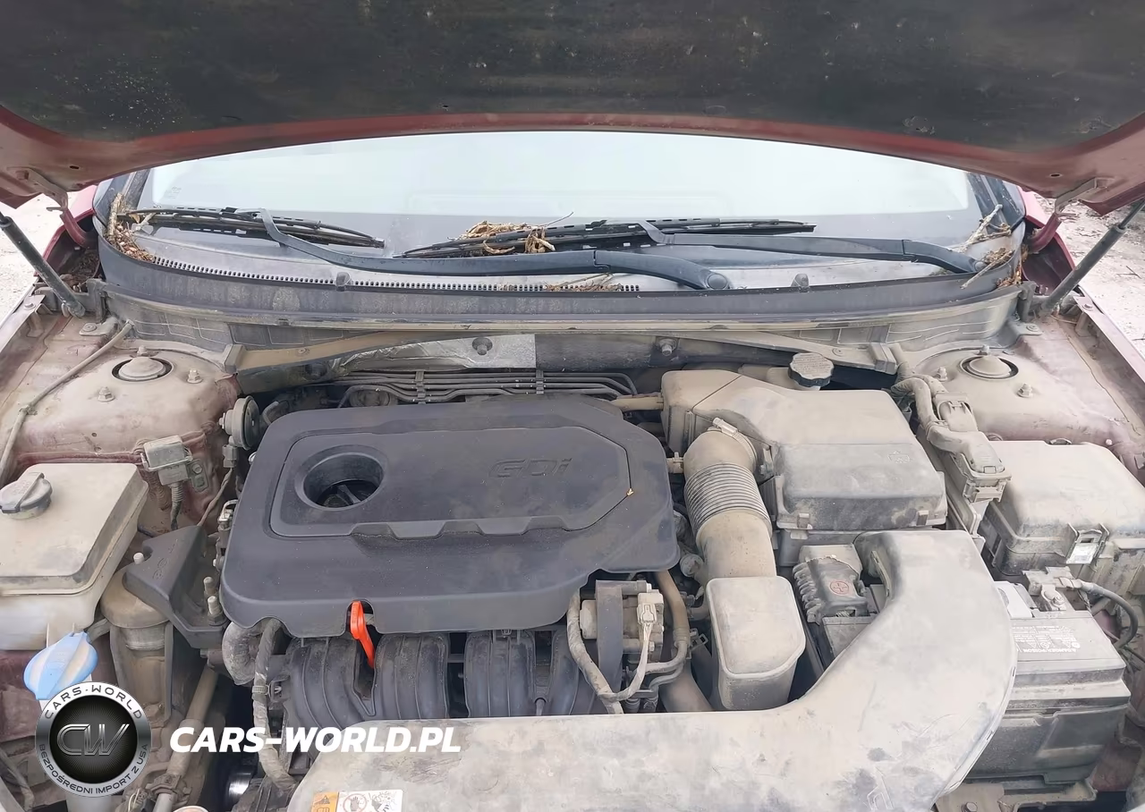 2015 Hyundai Sonata Se VIN:5NPE24AF9FH177572 - 10