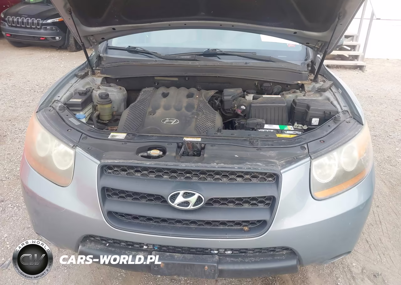 2008 Hyundai Santa Fe Gls VIN:5NMSG13D48H160256 - 10
