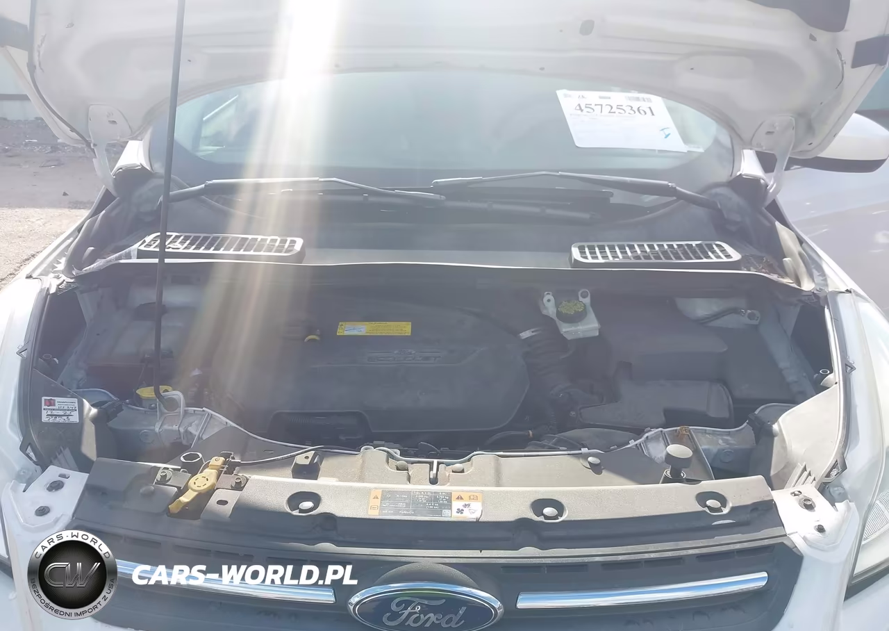 2016 Ford Escape Se VIN:1FMCU0GX0GUA96912 - 10