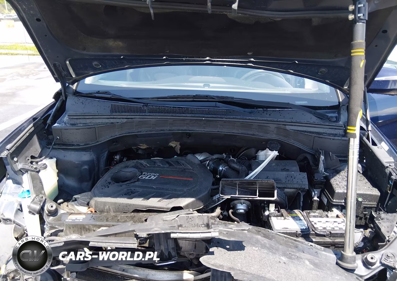 2017 Hyundai Santa Fe Sport 2.0T Ultimate VIN:5XYZWDLA3HG500273 - 10