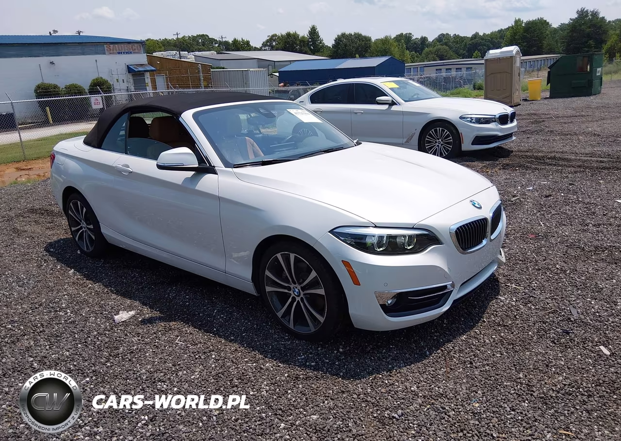 2019 BMW 230I xDrive