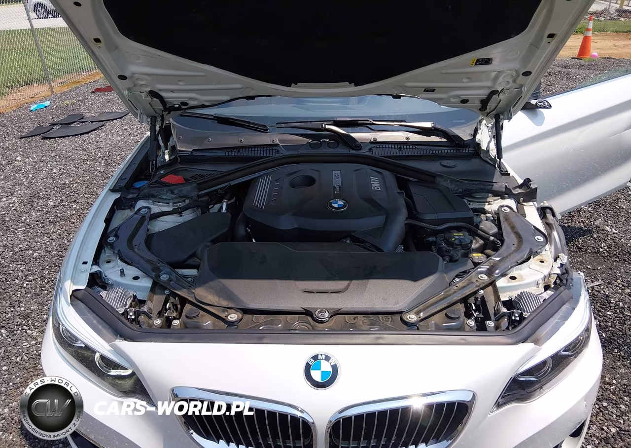 2019 BMW 230I xDrive VIN:WBA2K1C54K7D55960 - 10