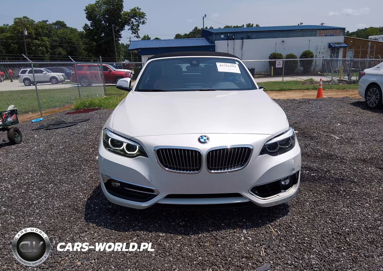 2019 BMW 230I xDrive VIN:WBA2K1C54K7D55960 - 13