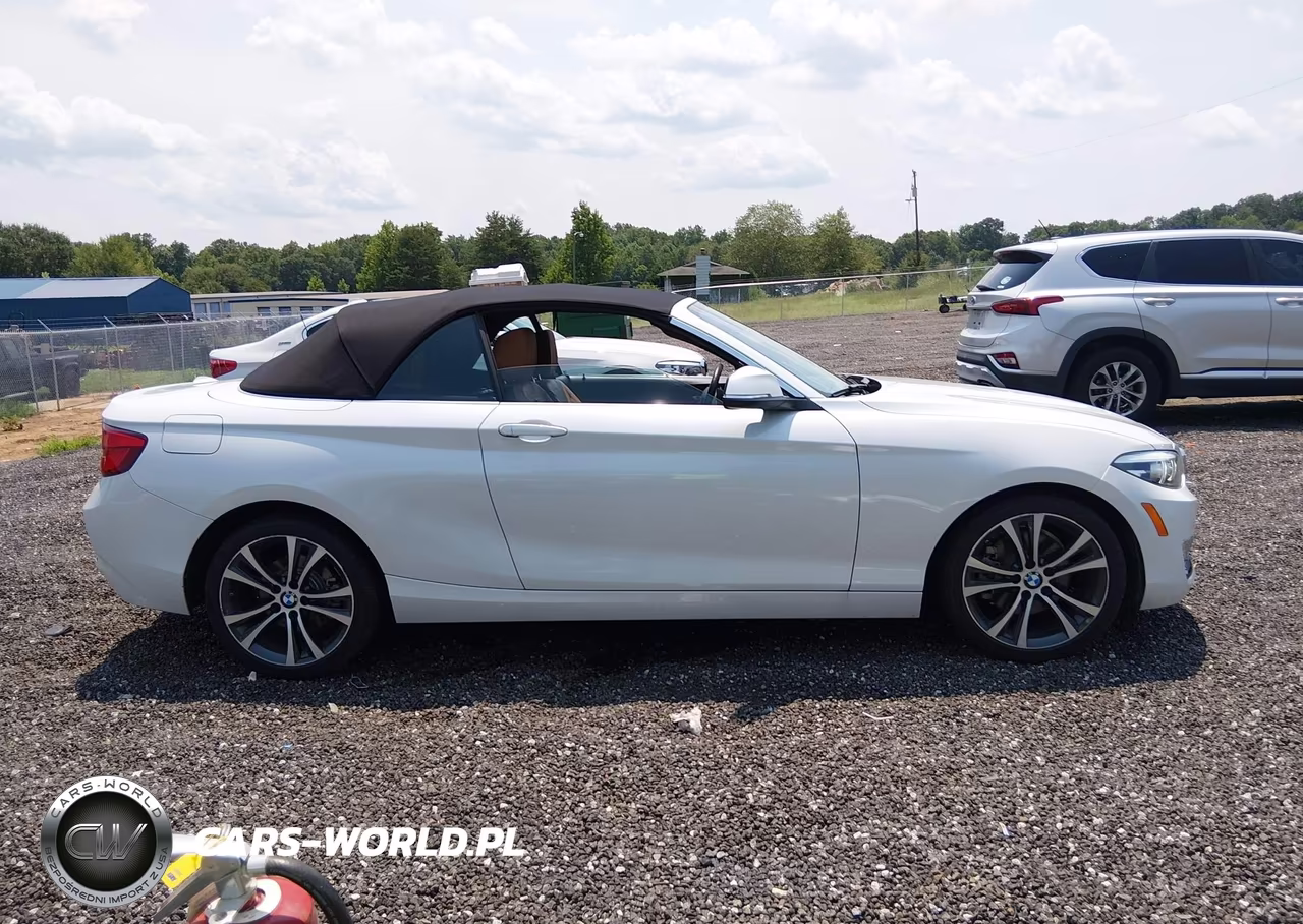 2019 BMW 230I xDrive VIN:WBA2K1C54K7D55960 - 14