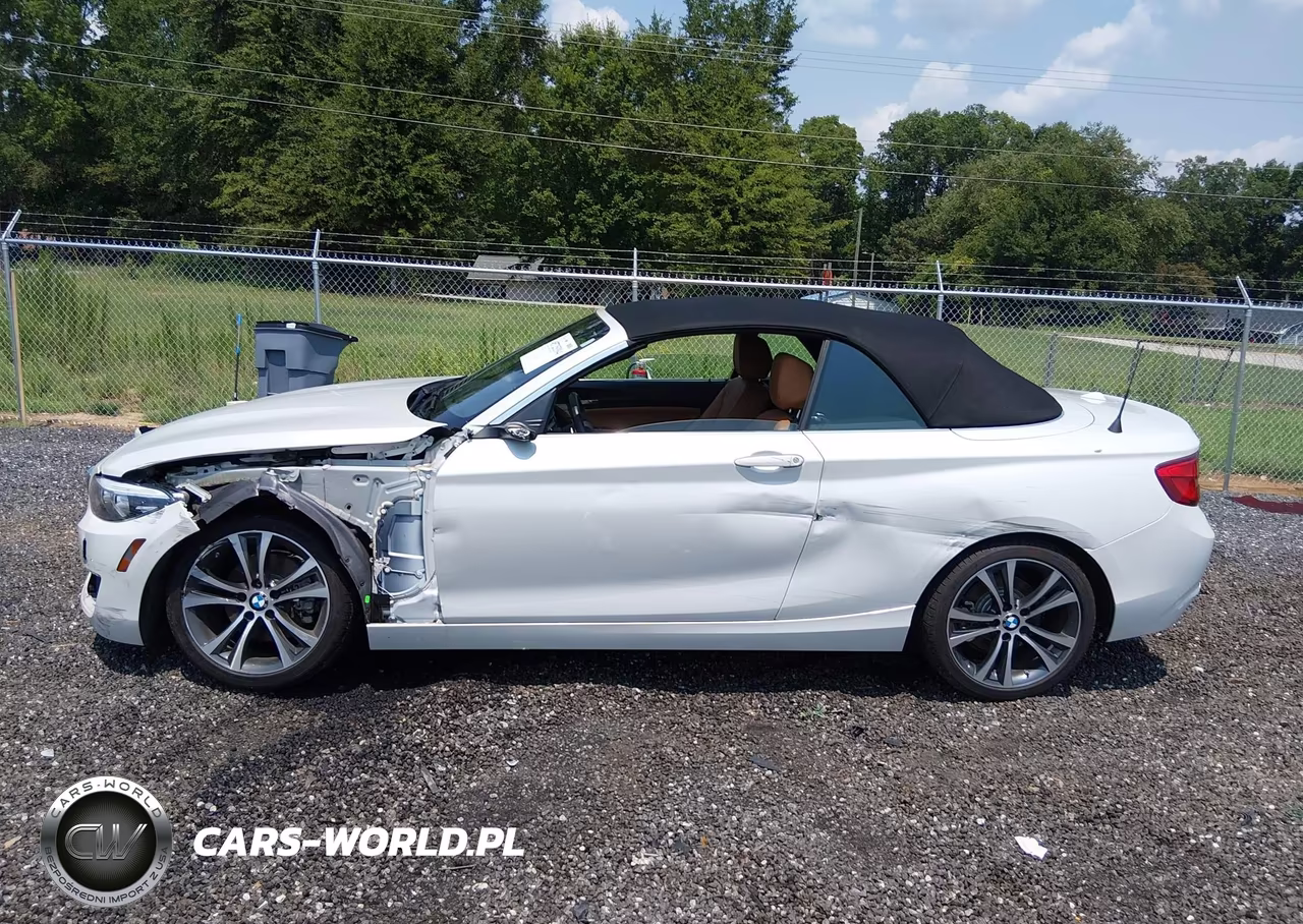 2019 BMW 230I xDrive VIN:WBA2K1C54K7D55960 - 15