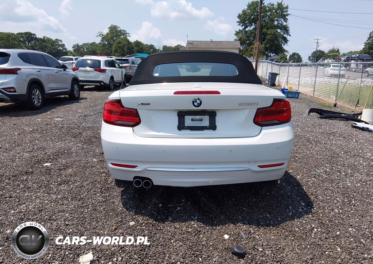2019 BMW 230I xDrive VIN:WBA2K1C54K7D55960 - 17