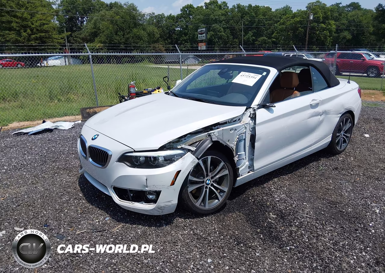 2019 BMW 230I xDrive VIN:WBA2K1C54K7D55960 - 2