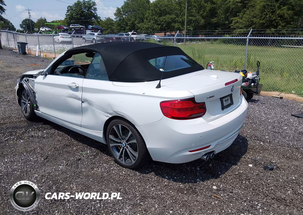 2019 BMW 230I xDrive VIN:WBA2K1C54K7D55960 - 3