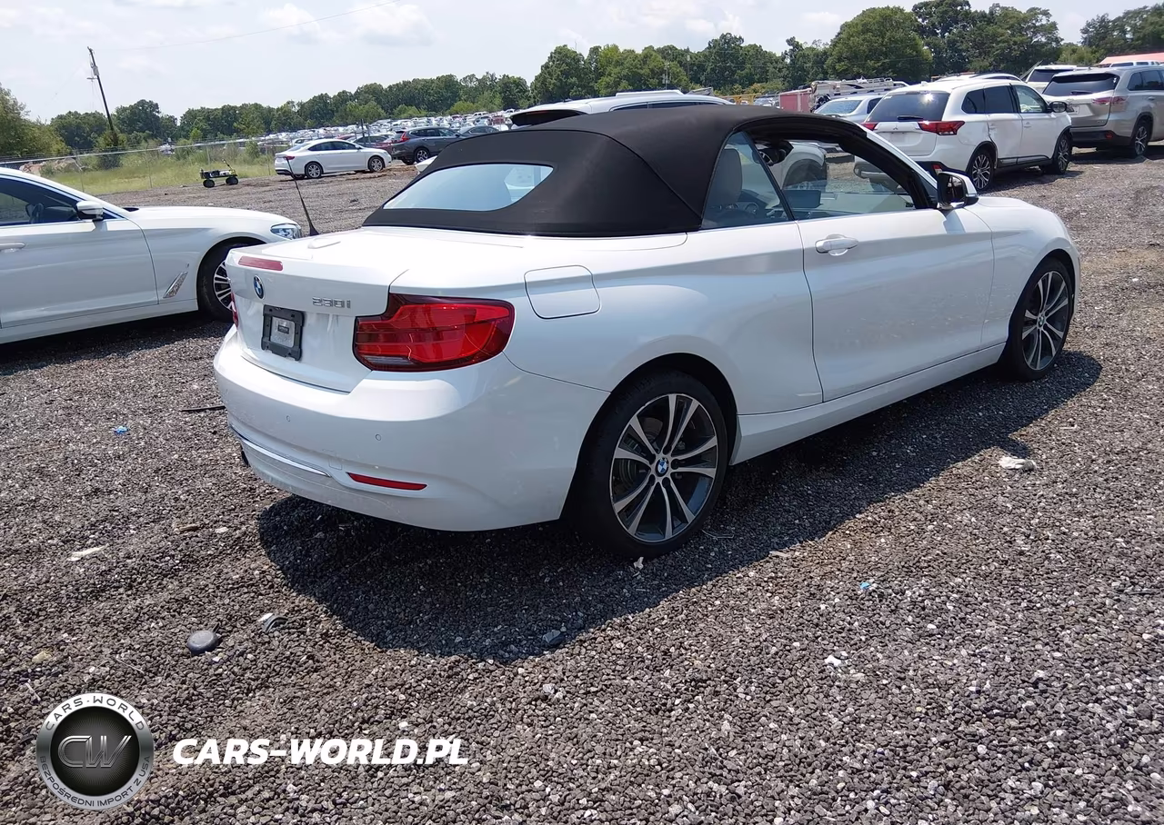 2019 BMW 230I xDrive VIN:WBA2K1C54K7D55960 - 4