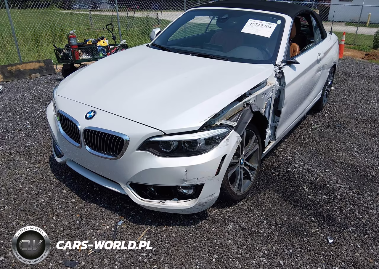 2019 BMW 230I xDrive VIN:WBA2K1C54K7D55960 - 6