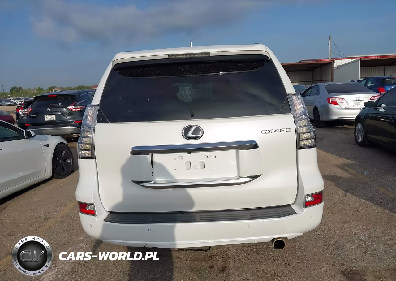 2020 Lexus Gx 460 Premium VIN:JTJAM7BX3L5250347 - 17