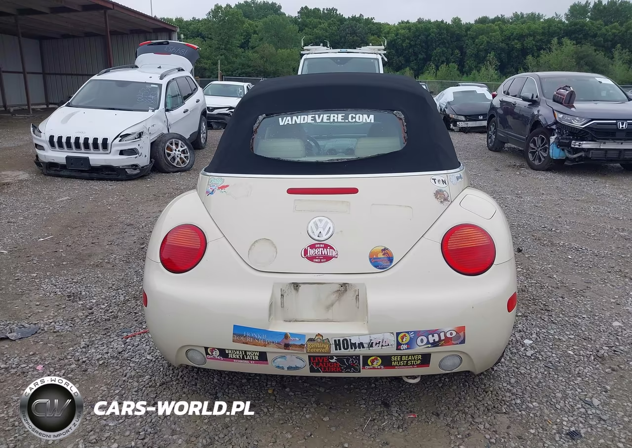 2003 Volkswagen New Beetle Gls VIN:3VWCK21Y23M313587 - 17