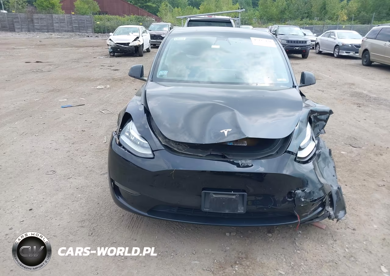 2022 Tesla Model Y Long Range Dual Motor All-Wheel Drive VIN:7SAYGDEE2NF313749 - 12