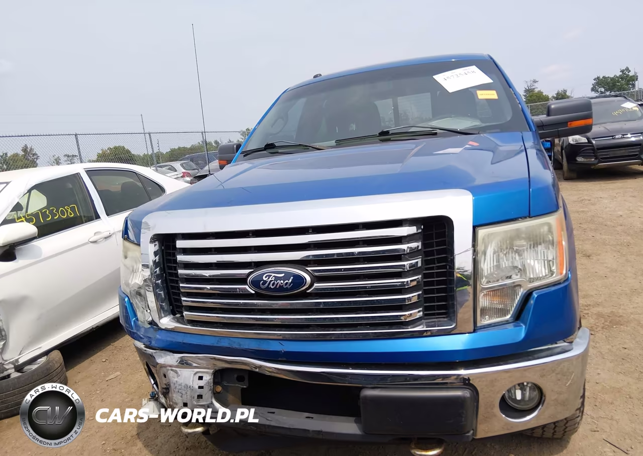 2010 Ford F-150 Fx4-Harley-Davidson-King Ranch-Lariat-Platinum-Xl-Xlt VIN:1FTFW1EV5AFC89703 - 12