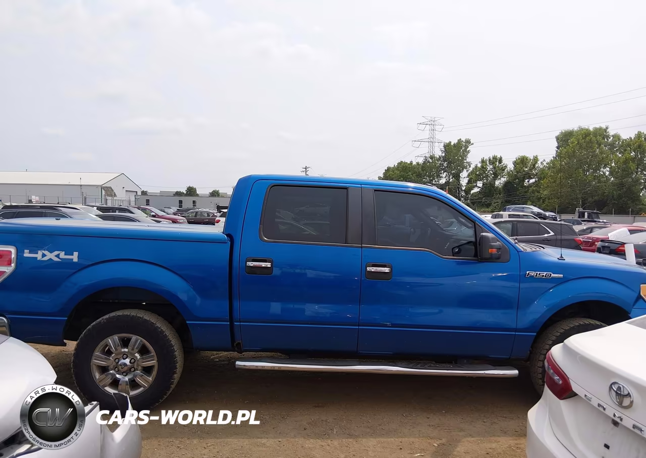 2010 Ford F-150 Fx4-Harley-Davidson-King Ranch-Lariat-Platinum-Xl-Xlt VIN:1FTFW1EV5AFC89703 - 13