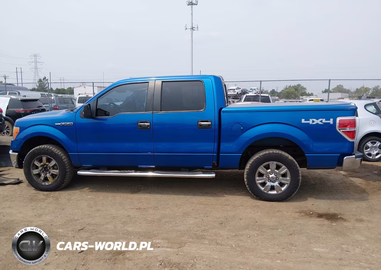 2010 Ford F-150 Fx4-Harley-Davidson-King Ranch-Lariat-Platinum-Xl-Xlt VIN:1FTFW1EV5AFC89703 - 14