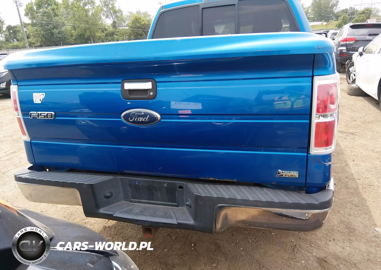 2010 Ford F-150 Fx4-Harley-Davidson-King Ranch-Lariat-Platinum-Xl-Xlt VIN:1FTFW1EV5AFC89703 - 16