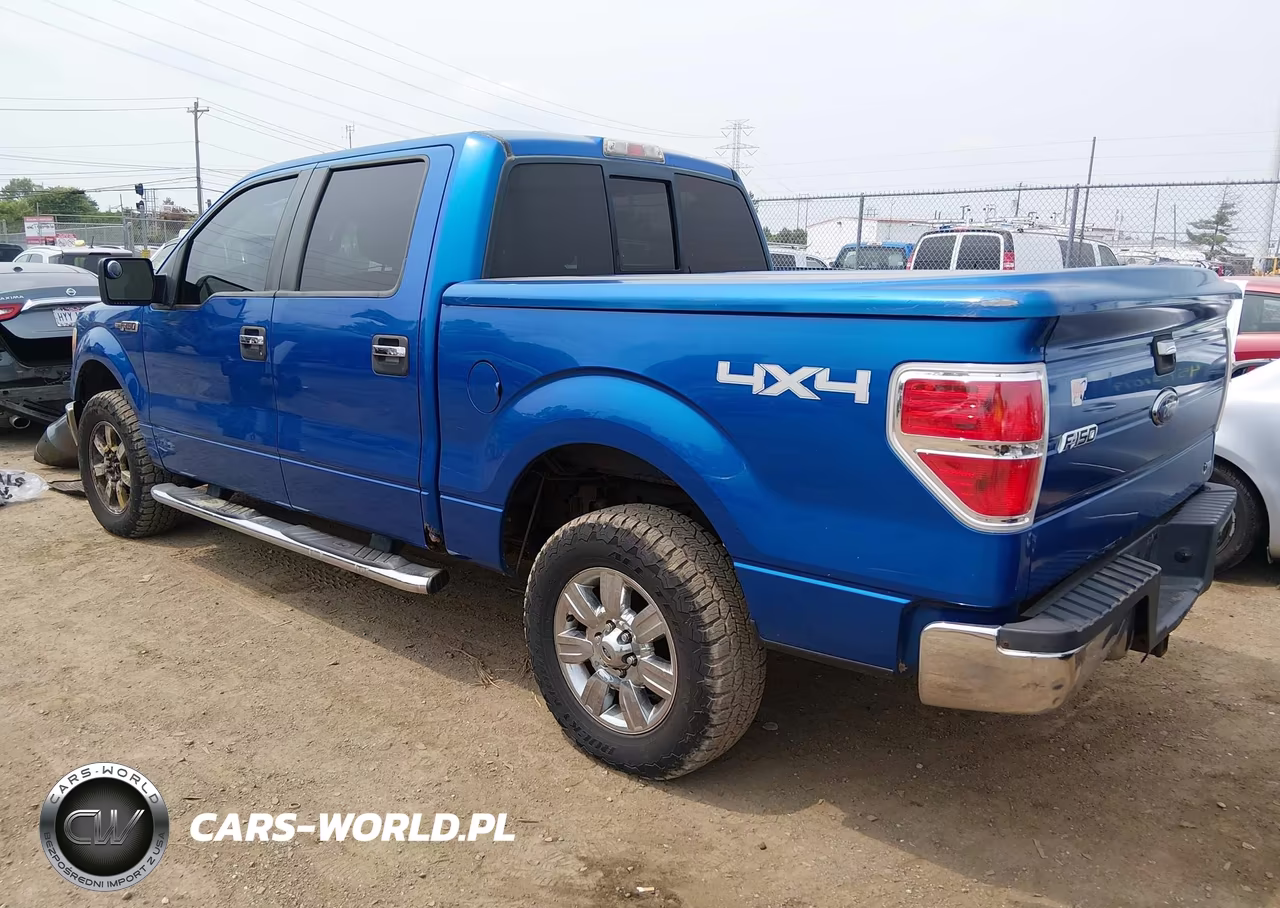 2010 Ford F-150 Fx4-Harley-Davidson-King Ranch-Lariat-Platinum-Xl-Xlt VIN:1FTFW1EV5AFC89703 - 3