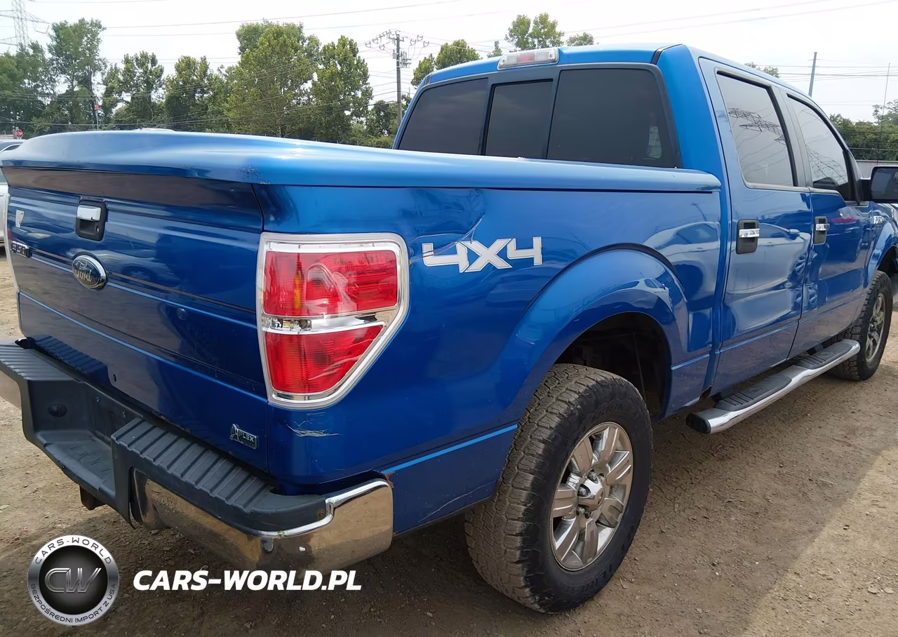 2010 Ford F-150 Fx4-Harley-Davidson-King Ranch-Lariat-Platinum-Xl-Xlt VIN:1FTFW1EV5AFC89703 - 4