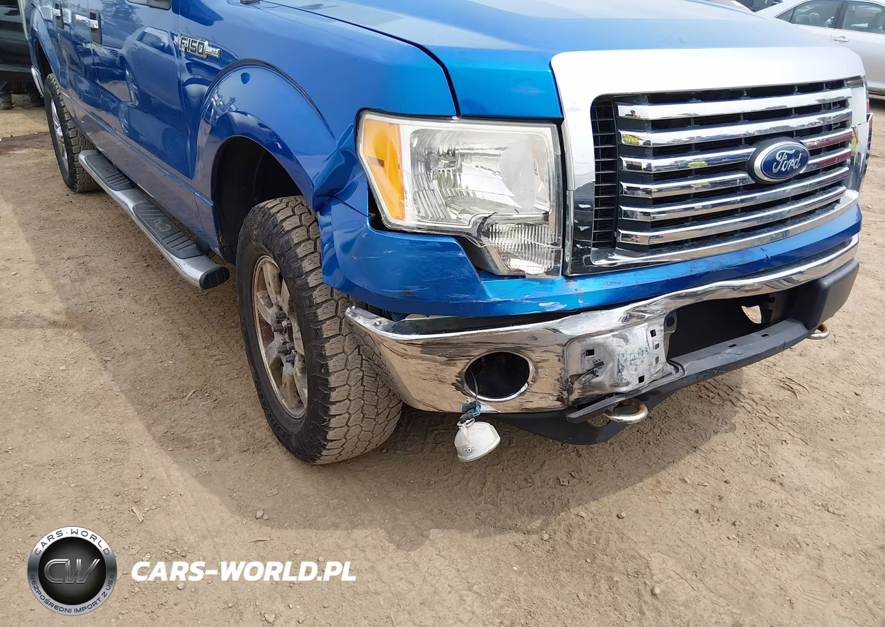 2010 Ford F-150 Fx4-Harley-Davidson-King Ranch-Lariat-Platinum-Xl-Xlt VIN:1FTFW1EV5AFC89703 - 6