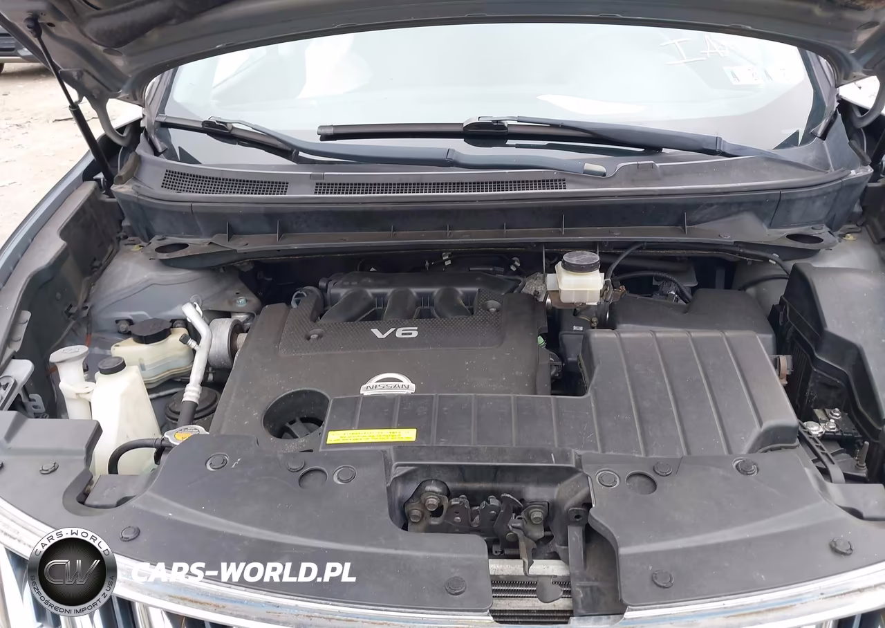 2009 Nissan Murano Le VIN:JN8AZ18W19W120722 - 10