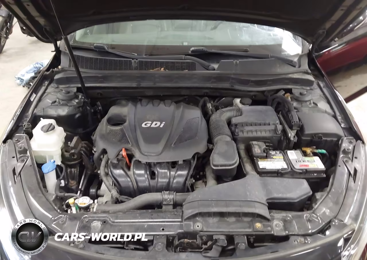 2015 Kia Optima Ex VIN:5XXGN4A7XFG499982 - 10