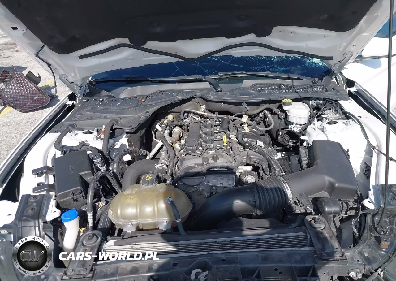 2020 Ford Mustang Ecoboost Fastback VIN:1FA6P8TH2L5183226 - 10