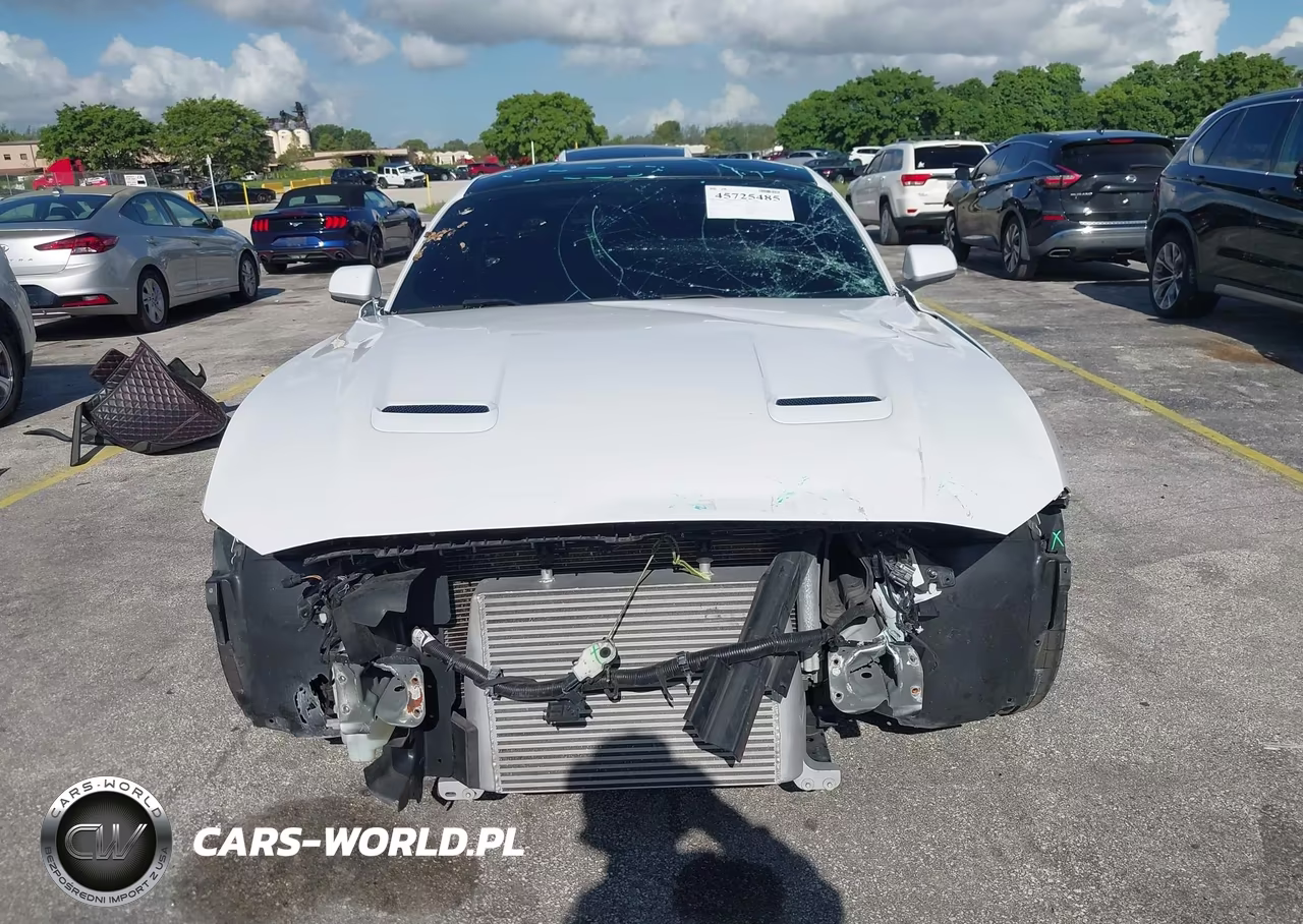 2020 Ford Mustang Ecoboost Fastback VIN:1FA6P8TH2L5183226 - 13
