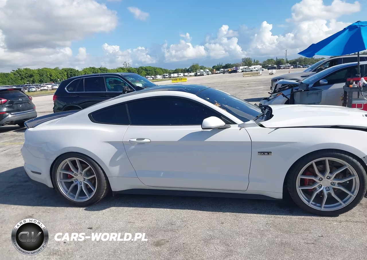 2020 Ford Mustang Ecoboost Fastback VIN:1FA6P8TH2L5183226 - 14
