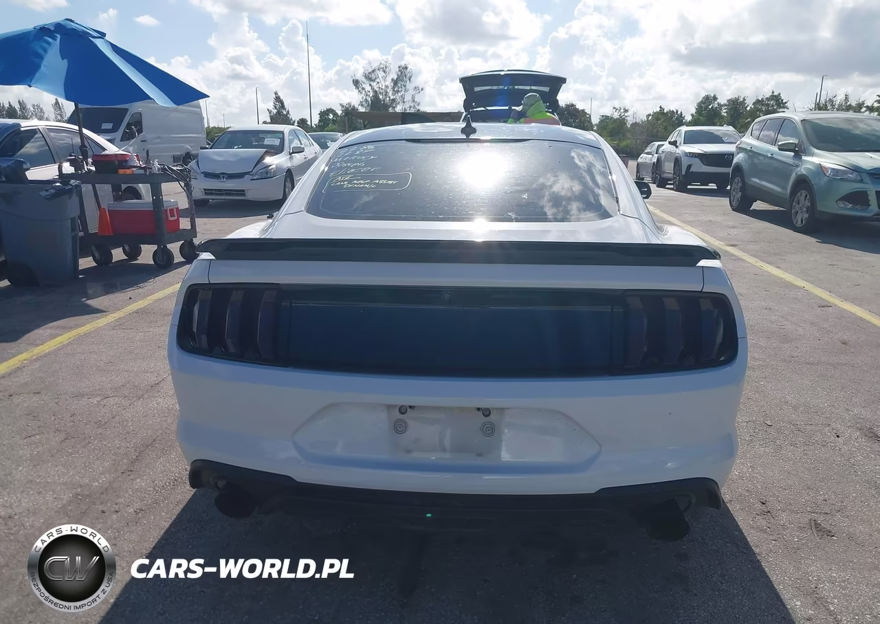 2020 Ford Mustang Ecoboost Fastback VIN:1FA6P8TH2L5183226 - 17