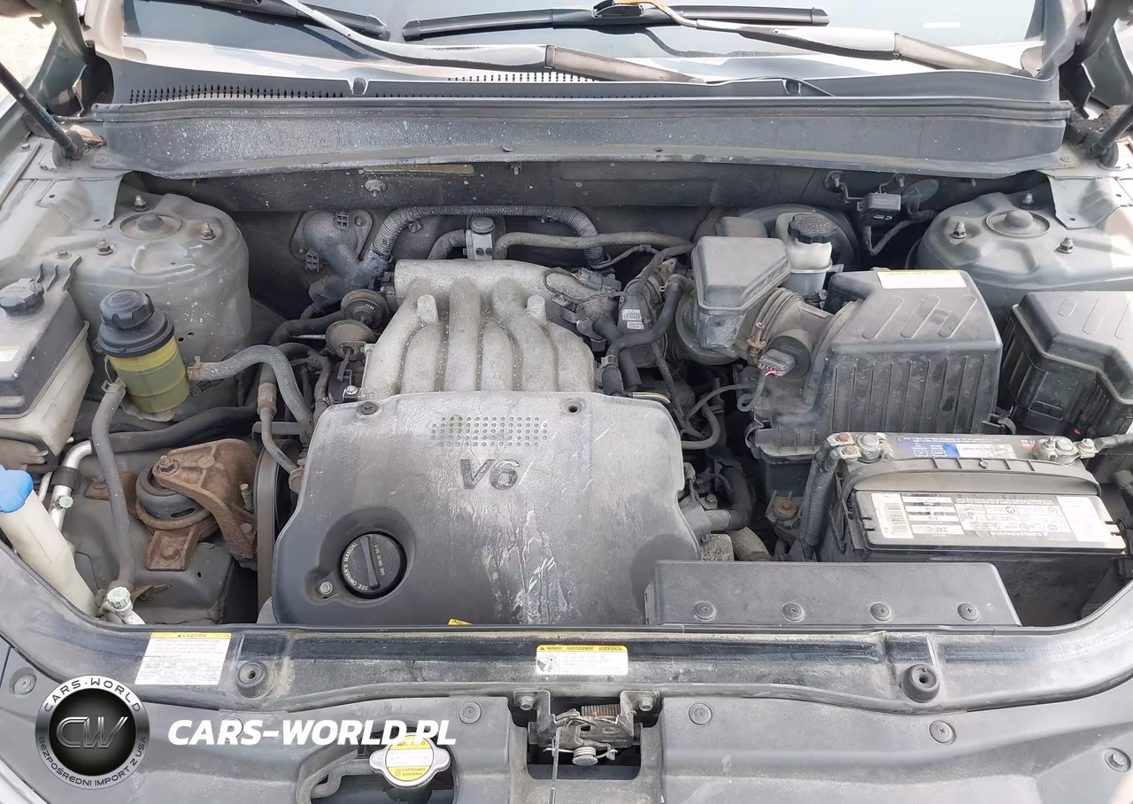 2009 Hyundai Santa Fe Gls VIN:5NMSG13D99H233512 - 10