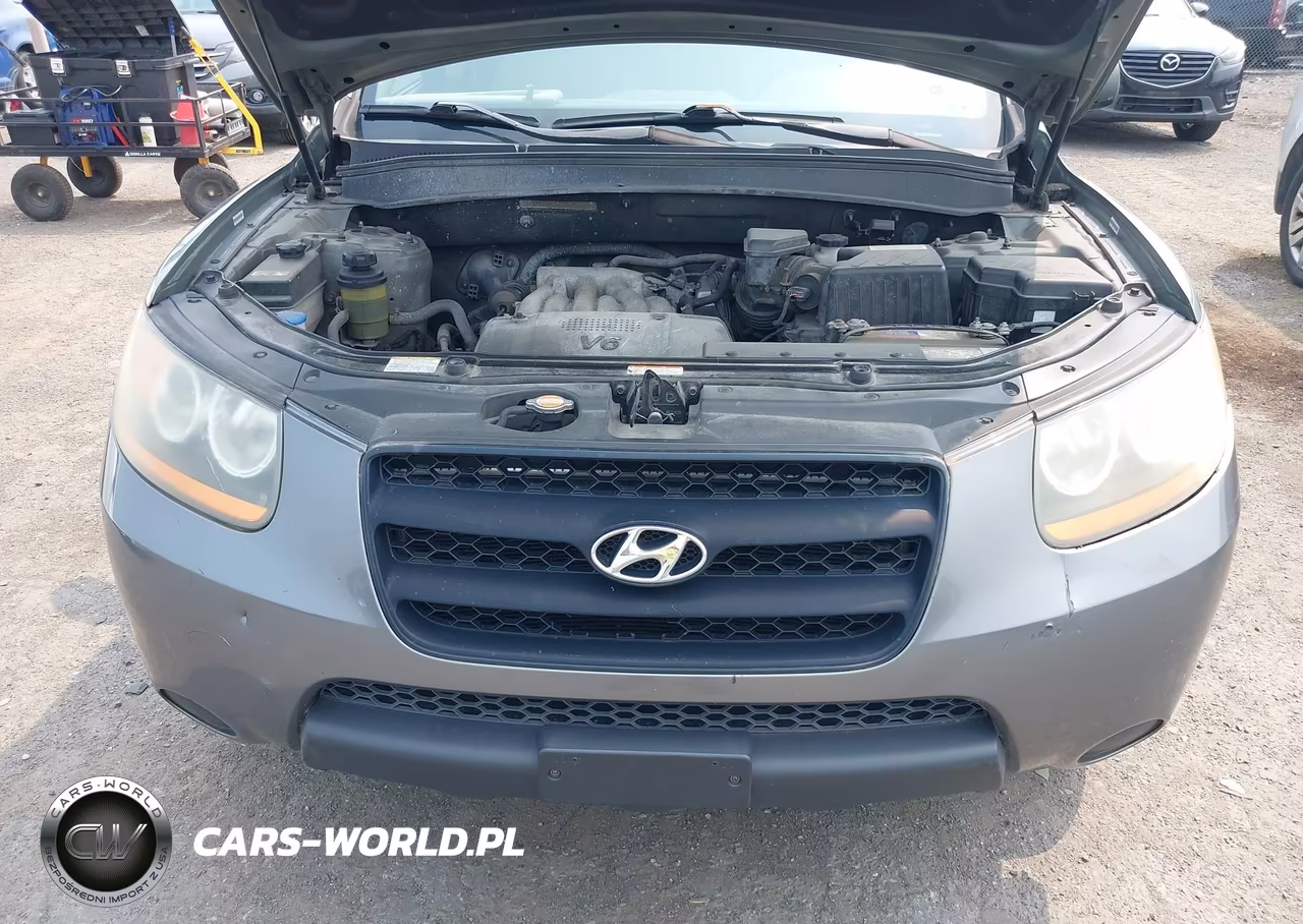 2009 Hyundai Santa Fe Gls VIN:5NMSG13D99H233512 - 12
