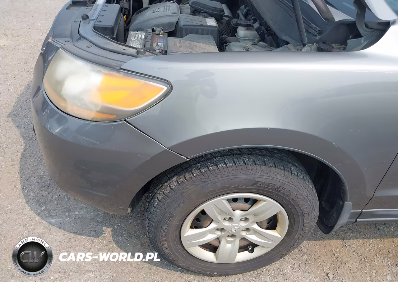 2009 Hyundai Santa Fe Gls VIN:5NMSG13D99H233512 - 13