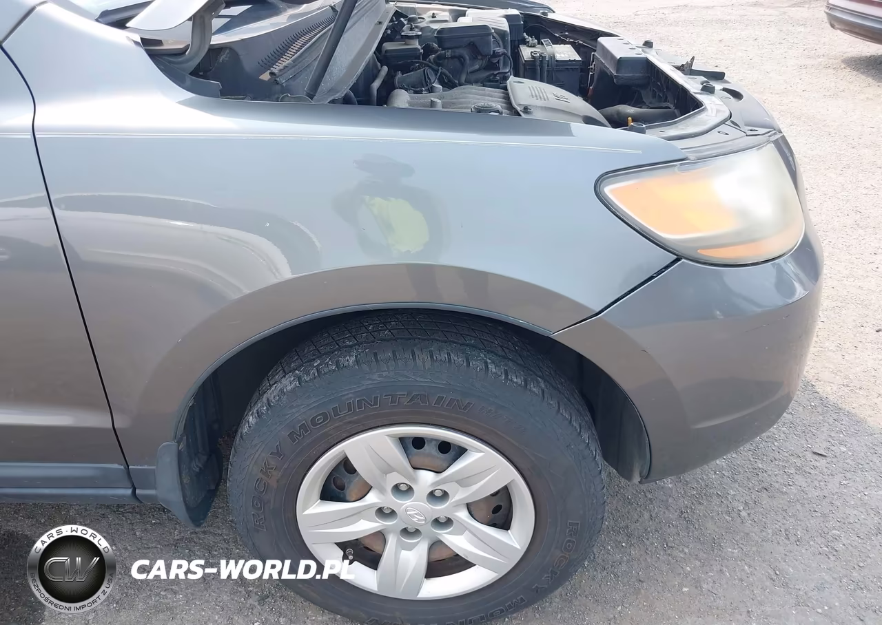 2009 Hyundai Santa Fe Gls VIN:5NMSG13D99H233512 - 6