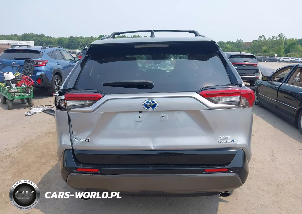 2020 Toyota Rav4 Hybrid Xse VIN:JTMEWRFV8LJ030230 - 17