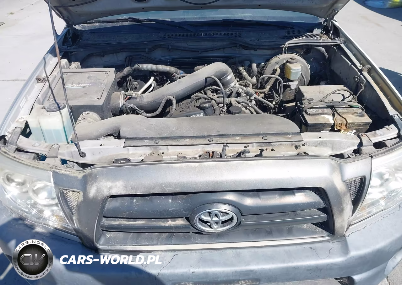 2006 Toyota Tacoma VIN:5TETX22N96Z241156 - 10