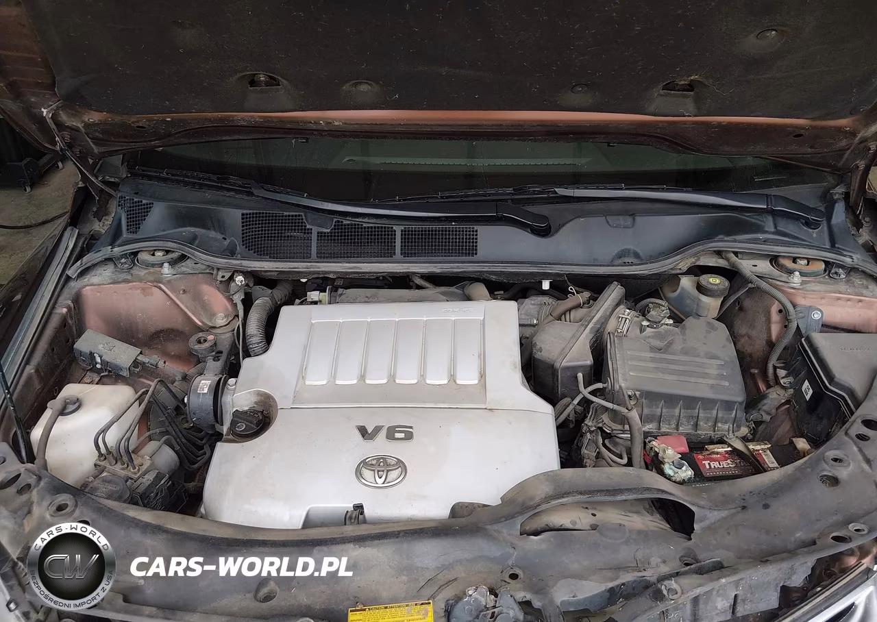 2009 Toyota Venza Base V6 VIN:4T3ZK11A99U014695 - 10
