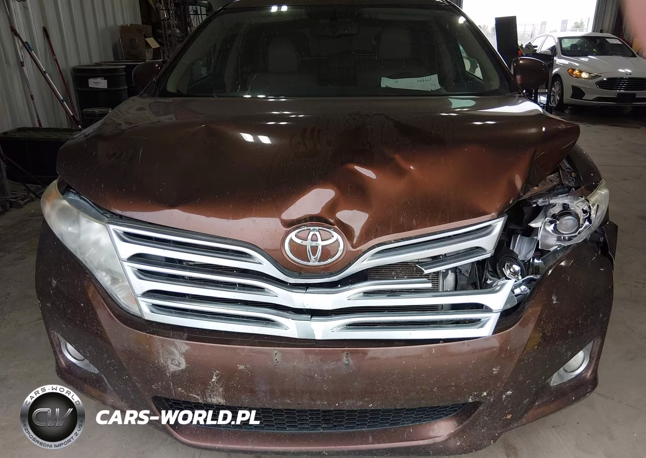2009 Toyota Venza Base V6 VIN:4T3ZK11A99U014695 - 6