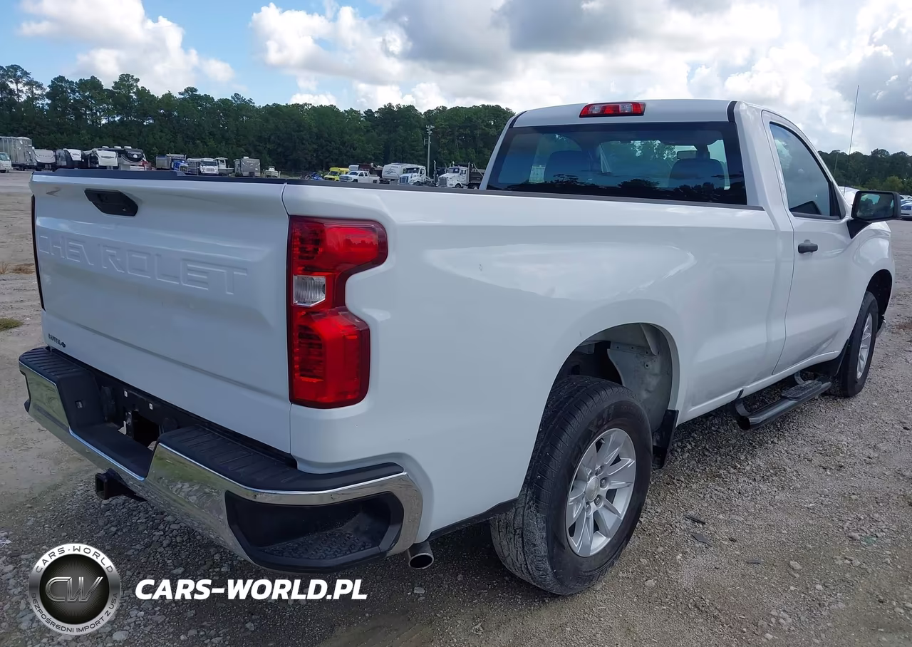 2020 Chevrolet Silverado 1500 2Wd Regular Cab Long Bed Wt VIN:3GCNWAEF8LG331755 - 4
