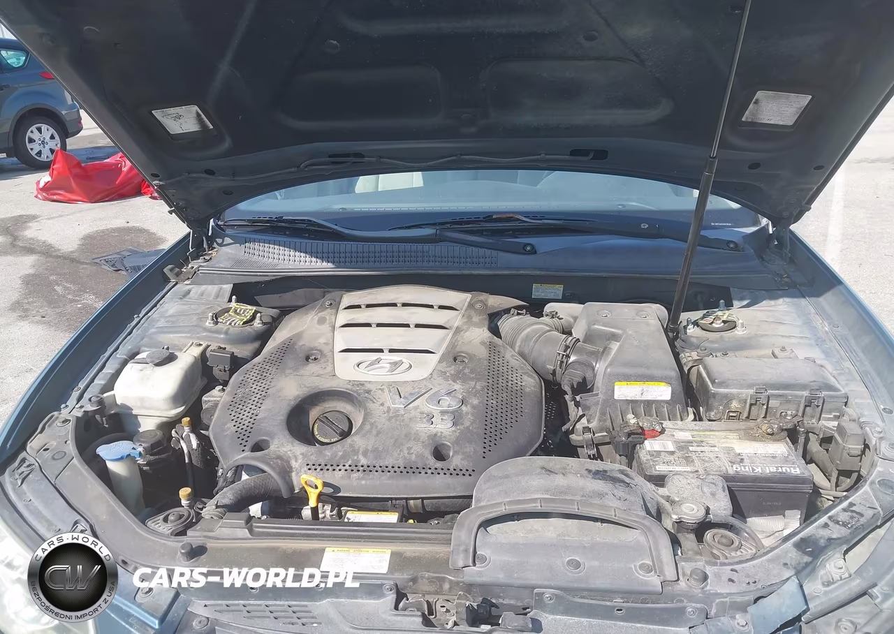 2006 Hyundai Sonata Gls V6-Lx V6 VIN:5NPEU46F06H136136 - 10
