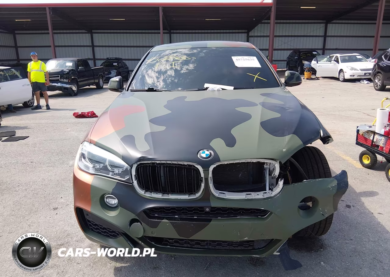 2019 BMW X6 xDrive50I VIN:5UXKU6C52K0Z67041 - 13