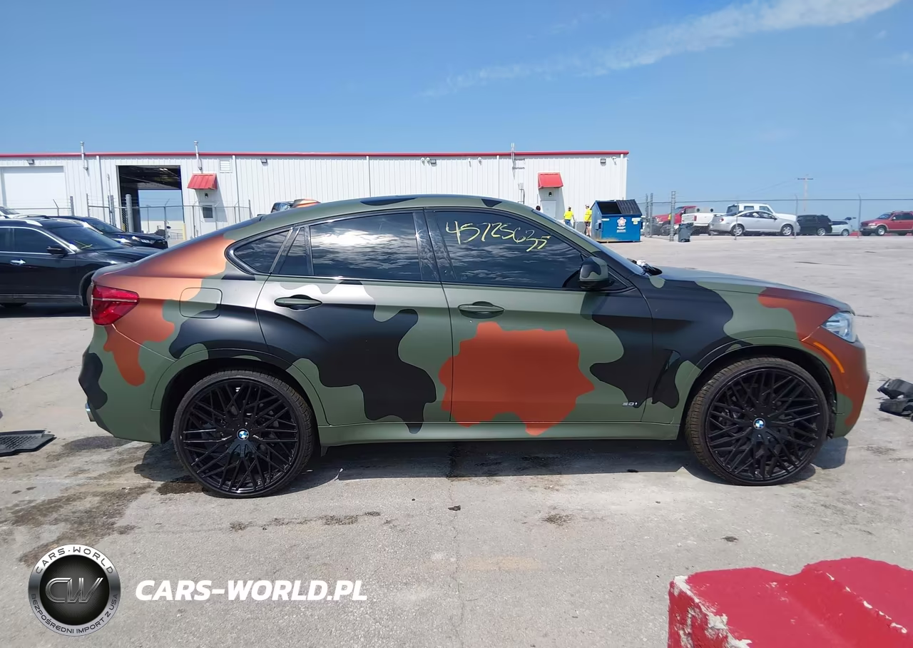 2019 BMW X6 xDrive50I VIN:5UXKU6C52K0Z67041 - 14