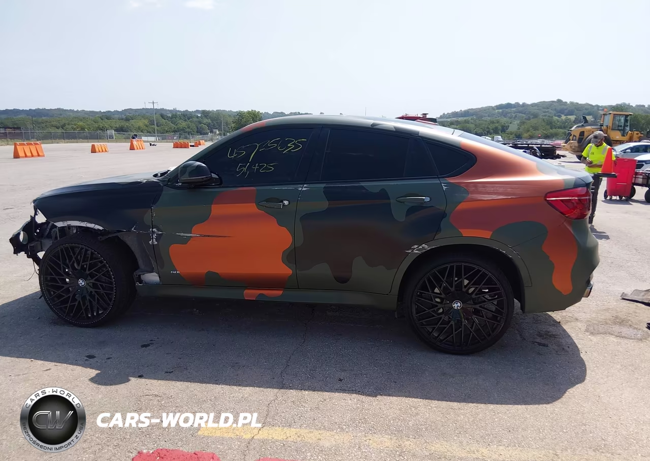 2019 BMW X6 xDrive50I VIN:5UXKU6C52K0Z67041 - 15