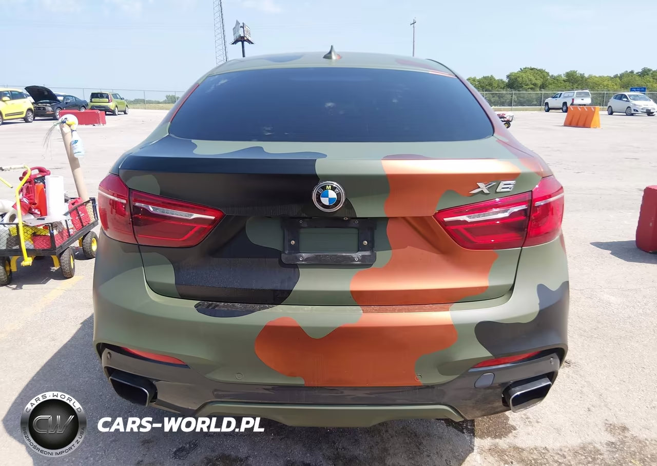 2019 BMW X6 xDrive50I VIN:5UXKU6C52K0Z67041 - 17