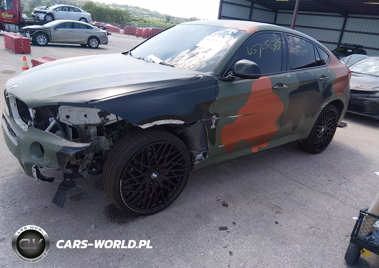 2019 BMW X6 xDrive50I VIN:5UXKU6C52K0Z67041 - 2