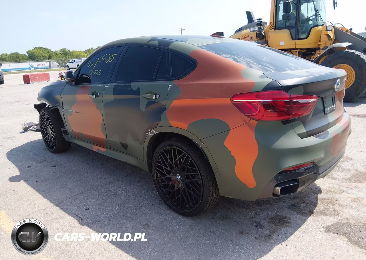 2019 BMW X6 xDrive50I VIN:5UXKU6C52K0Z67041 - 3