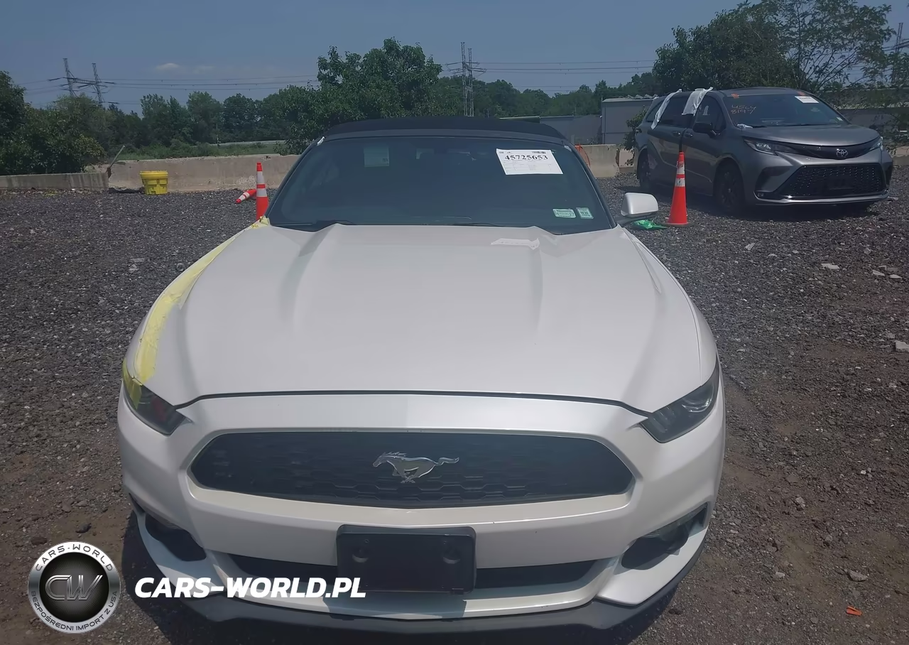 2017 Ford Mustang Ecoboost Premium VIN:1FATP8UH7H5308777 - 12