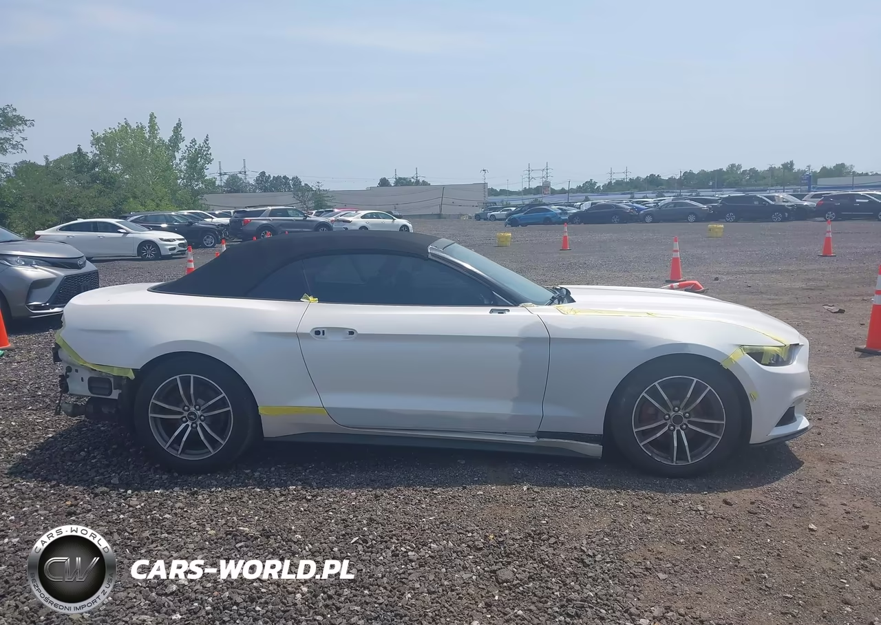 2017 Ford Mustang Ecoboost Premium VIN:1FATP8UH7H5308777 - 13