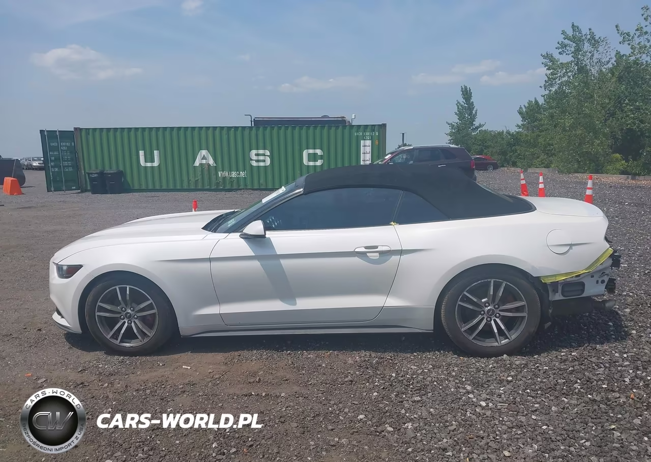 2017 Ford Mustang Ecoboost Premium VIN:1FATP8UH7H5308777 - 14